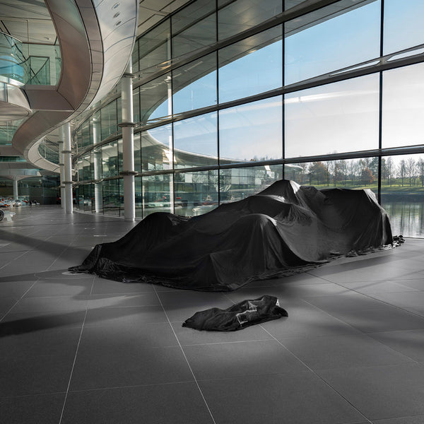LEGO® Technic™ McLaren Formula 1™ Race Car
