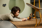LEGO® NINJAGO® Cole’s Earth Dragon EVO