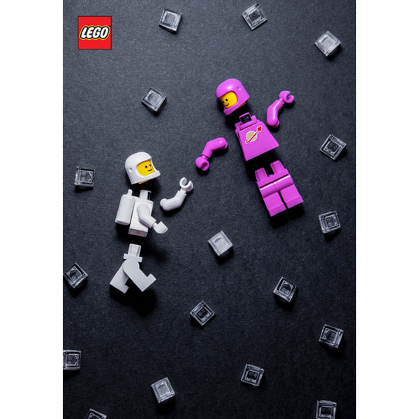 LEGO MINIFIGURE JOURNAL