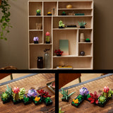 LEGO® Succulents