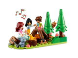 LEGO® Friends™ Mobile Tiny House