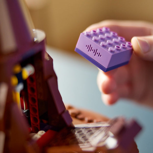 LEGO® Harry Potter™ Talking Sorting Hat™