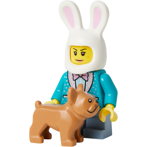 Minifigure Bunny Walker